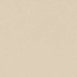 Erismann | Brilliant Colours | 02403-02 | Vliestapete | Einfarbig | 0.53 X 10.05 M | Beige
