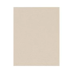 Erismann | Brilliant Colours | 02403-02 | Vliestapete | Einfarbig | 0.53 X 10.05 M | Beige 11 Erismann | Brilliant Colours | 02403-02 | Vliestapete | Einfarbig | 0.53 X 10.05 M | Beige -Boutique-Tapetenladen 02403 02 06 1280x1280