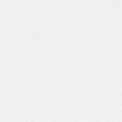 A.S. Creation | Einzelblatt | 104816 | Vliestapete | Einfarbig | Uni | 0.53 X 10.05 M | Weiß