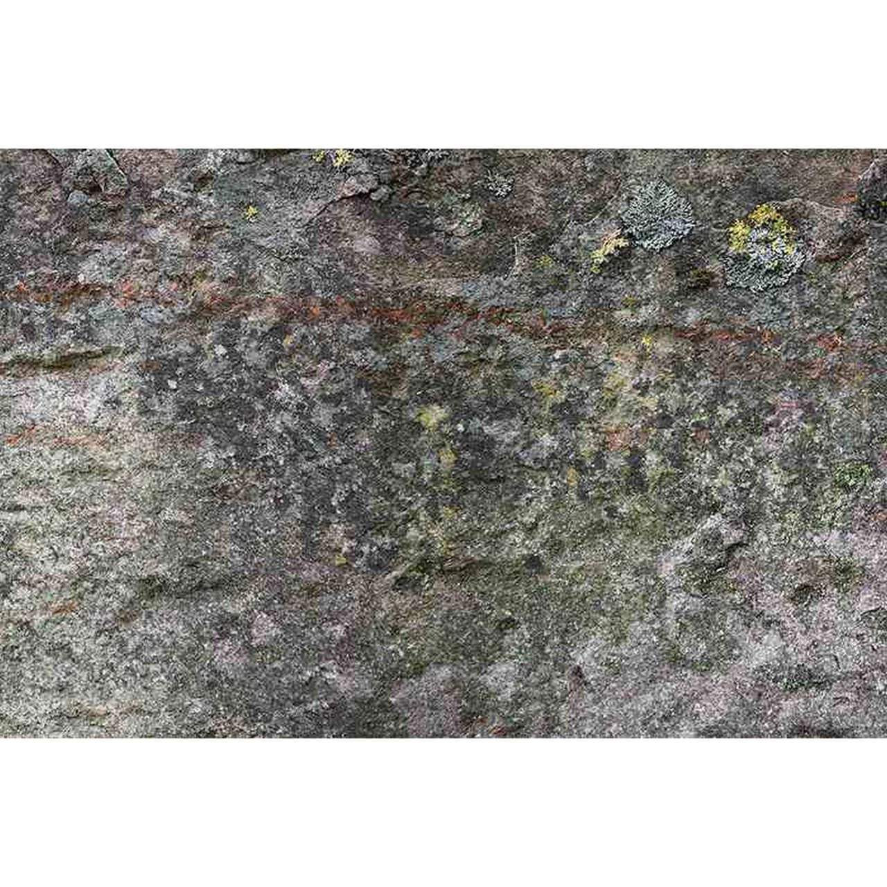 A.S. Creation | AP Digital 4 | DD108725 | Fototapete | Vlies | Versch. Größen | Stein & Beton | Grau 2 A.S. Creation | AP Digital 4 | DD108725 | Fototapete | Vlies | Versch. Größen | Stein & Beton | Grau – Bild 2