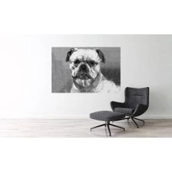 A.S. Creation | AP Digital 4 | DD108930 | Fototapete | Vlies | Versch. Größen | Tiere | Grau -Boutique-Tapetenladen 108930 M 1 2 1280x1280