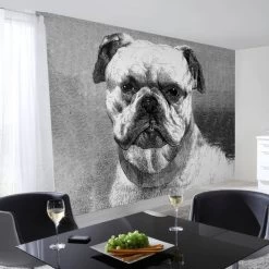 A.S. Creation | AP Digital 4 | DD108930 | Fototapete | Vlies | Versch. Größen | Tiere | Grau