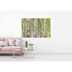 A.S. Creation | AP Digital 4 | DD109165 | Fototapete | Vlies | Versch. Größen | Wald & Pflanzen -Boutique-Tapetenladen 109165 M 1 2 1280x1280