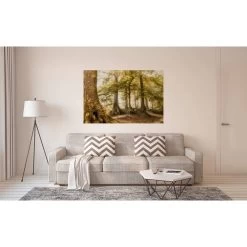 A.S. Creation | AP Digital 4 | DD109310 | Fototapete | Vlies | Versch. Größen | Wald & Pflanzen -Boutique-Tapetenladen 109310 M 1 1280x1280