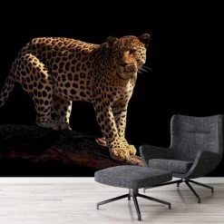 A.S. Creation | XXL 5 | DD114652 | Fototapete | Vlies | Versch. Größen | Tiere | Schwarz