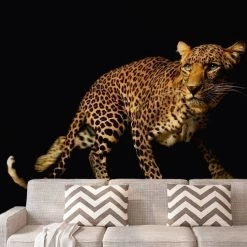 A.S. Creation | XXL 5 | DD114656 | Fototapete | Vlies | Versch. Größen | Tiere | Gelb