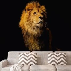 A.S. Creation | XXL 5 | DD114660 | Fototapete | Vlies | Versch. Größen | Tiere | Schwarz