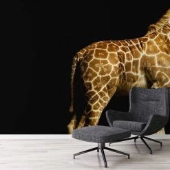 A.S. Creation | XXL 5 | DD114680 | Fototapete | Vlies | Versch. Größen | Tiere | Schwarz