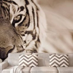 A.S. Creation | XXL 5 | DD114684 | Fototapete | Vlies | Versch. Größen | Tiere | Beige