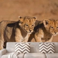 A.S. Creation | XXL 5 | DD114688 | Fototapete | Vlies | Versch. Größen | Tiere | Beige