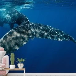 A.S. Creation | XXL 5 | DD114709 | Fototapete | Vlies | Versch. Größen | Tiere | Blau