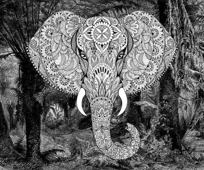 A.S. Creation | Atelier 47 | DD118120 | Fototapete | Vlies | 400 X 270 Cm | Tiere | Schwarz 2 A.S. Creation | Atelier 47 | DD118120 | Fototapete | Vlies | 400 X 270 Cm | Tiere | Schwarz – Bild 2