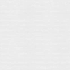 Rasch | Wallton 2025 | 127300 | Vliestapete | Einfarbig | Uni | 0.53 X 10.05 M | Weiß