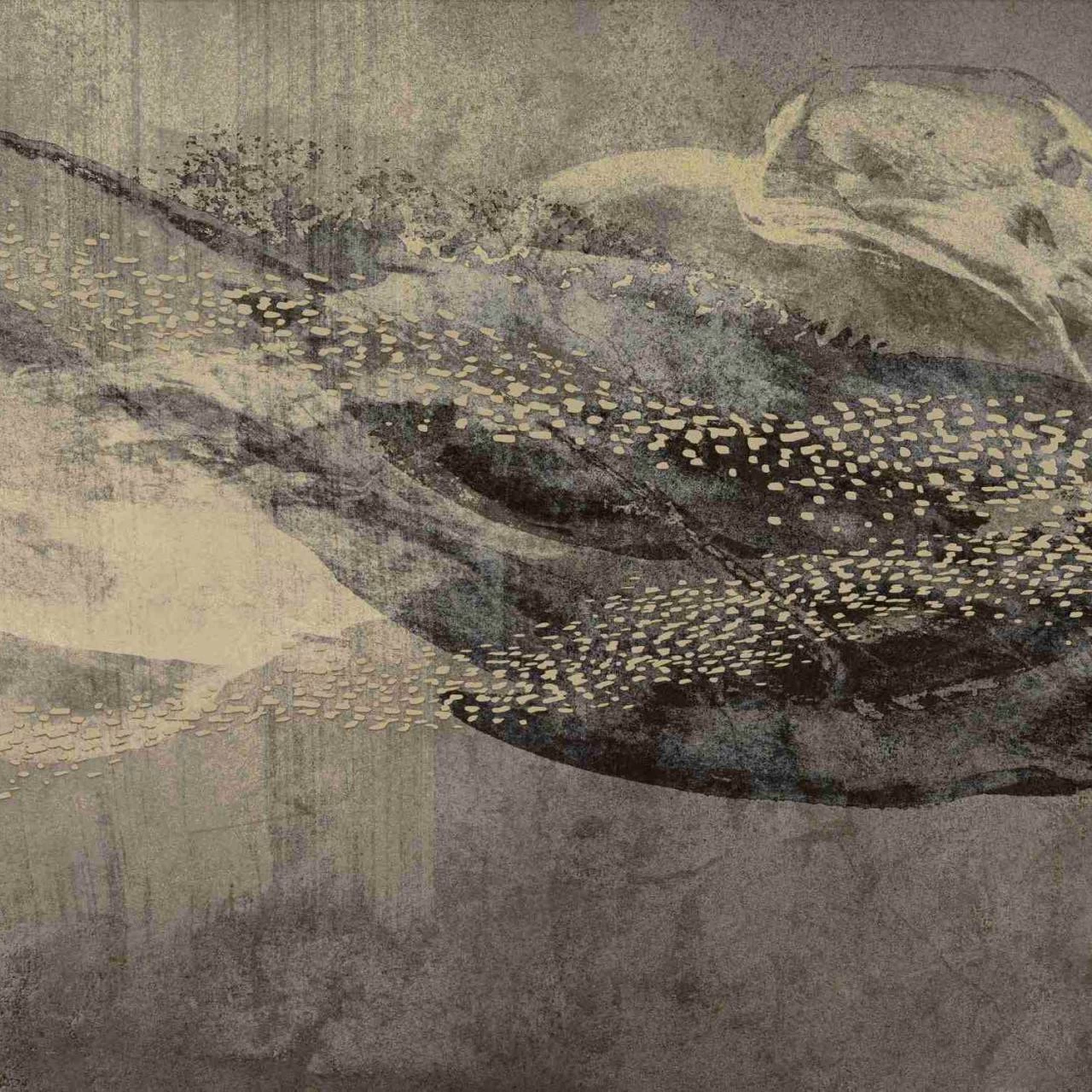 Erismann | Art Edition | 2237-10 | Fototapete | Vlies | 270 X 400 Cm | Tiere | Gold 1 Erismann | Art Edition | 2237-10 | Fototapete | Vlies | 270 X 400 Cm | Tiere | Gold