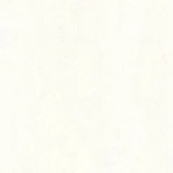 A.S. Creation | Blooming | 224040 | Vliestapete | Einfarbig | Uni | 0.53 X 10.05 M | Weiß