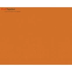 A.S. Creation | Einzelblatt | 295729 | Vliestapete | Einfarbig | Uni | 0.53 X 10.05 M | Orange