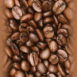 A.S. Creation | Pop Up Panels 2 | 300731 | Folietapete | Naturoptik | 0.35 X 2.5 M | Braun