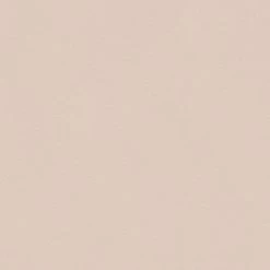 A.S. Creation | Il Decoro | 309150 | Vliestapete | Einfarbig | Uni | 0.53 X 10.05 M | Beige