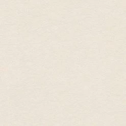 A.S. Creation | Premium Wall 2 | 358667 | Vliestapete | Einfarbig | 10.05 X 0.53 M | Rosa