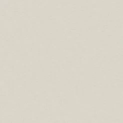 A.S. Creation | Michalsky 4 Change Is Good | 379861 | Vliestapete | Uni | 0.53 X 10.05 M | Beige