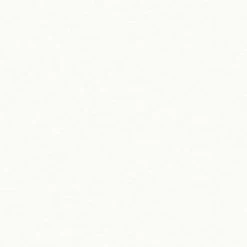 A.S. Creation | Michalsky 4 Change Is Good | 379862 | Vliestapete | Uni | 0.53 X 10.05 M | Weiß