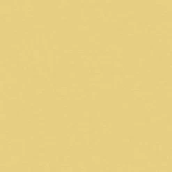 A.S. Creation | Michalsky 4 Change Is Good | 379867 | Vliestapete | Uni | 0.53 X 10.05 M | Gelb