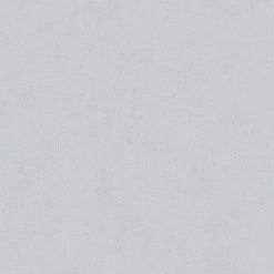 A.S. Creation | Titanium 3 | 381972 | Vliestapete | Einfarbig | Uni | 0.53 X 10.05 M | Grau