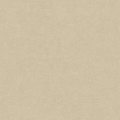 A.S. Creation | Titanium 3 | 381974 | Vliestapete | Einfarbig | Uni | 0.53 X 10.05 M | Beige