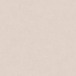 A.S. Creation | Titanium 3 | 381978 | Vliestapete | Einfarbig | Uni | 0.53 X 10.05 M | Beige