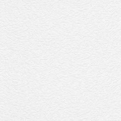 Erismann | RollOver | 535610 | Vliestapete Überstreichbar | Putzoptik | 0.53 X 10.05 M | Weiß