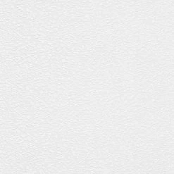 Erismann | RollOver | 536410 | Vliestapete Überstreichbar | Putzoptik | 0.53 X 10.05 M | Weiß