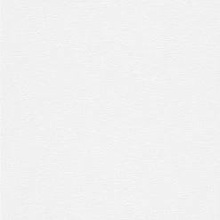 Erismann | Prime Time | 642301 | Vliestapete | Einfarbig | Uni | 0.53 X 10.05 M | Weiß