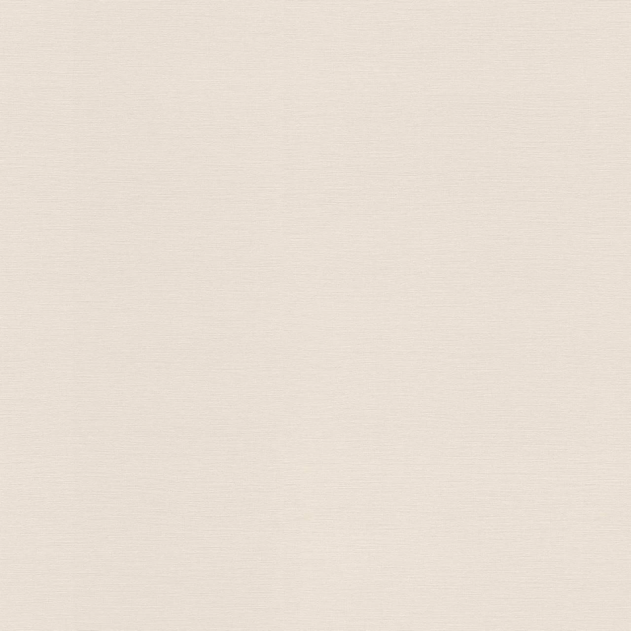 Rasch | Tropical House | 687507 | Vliestapete | Einfarbig | Uni | 0.53 X 10.05 M | Grau 1 Rasch | Tropical House | 687507 | Vliestapete | Einfarbig | Uni | 0.53 X 10.05 M | Grau