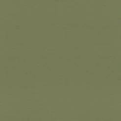 Rasch | Rhapsody | 687538 | Vliestapete | Einfarbig | Uni | 0.53 X 10.05 M | Grün