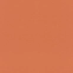 Rasch | Tropical House | 687569 | Vliestapete | Einfarbig | Uni | 0.53 X 10.05 M | Orange