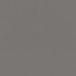 Rasch | Tropical House | 688030 | Vliestapete | Einfarbig | Uni | 0.53 X 10.05 M | Grau