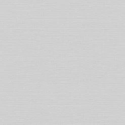 Rasch | Color Your Life | 732344 | Vliestapete | Einfarbig | Uni | 0.53 X 10.05 M | Silber | Grau