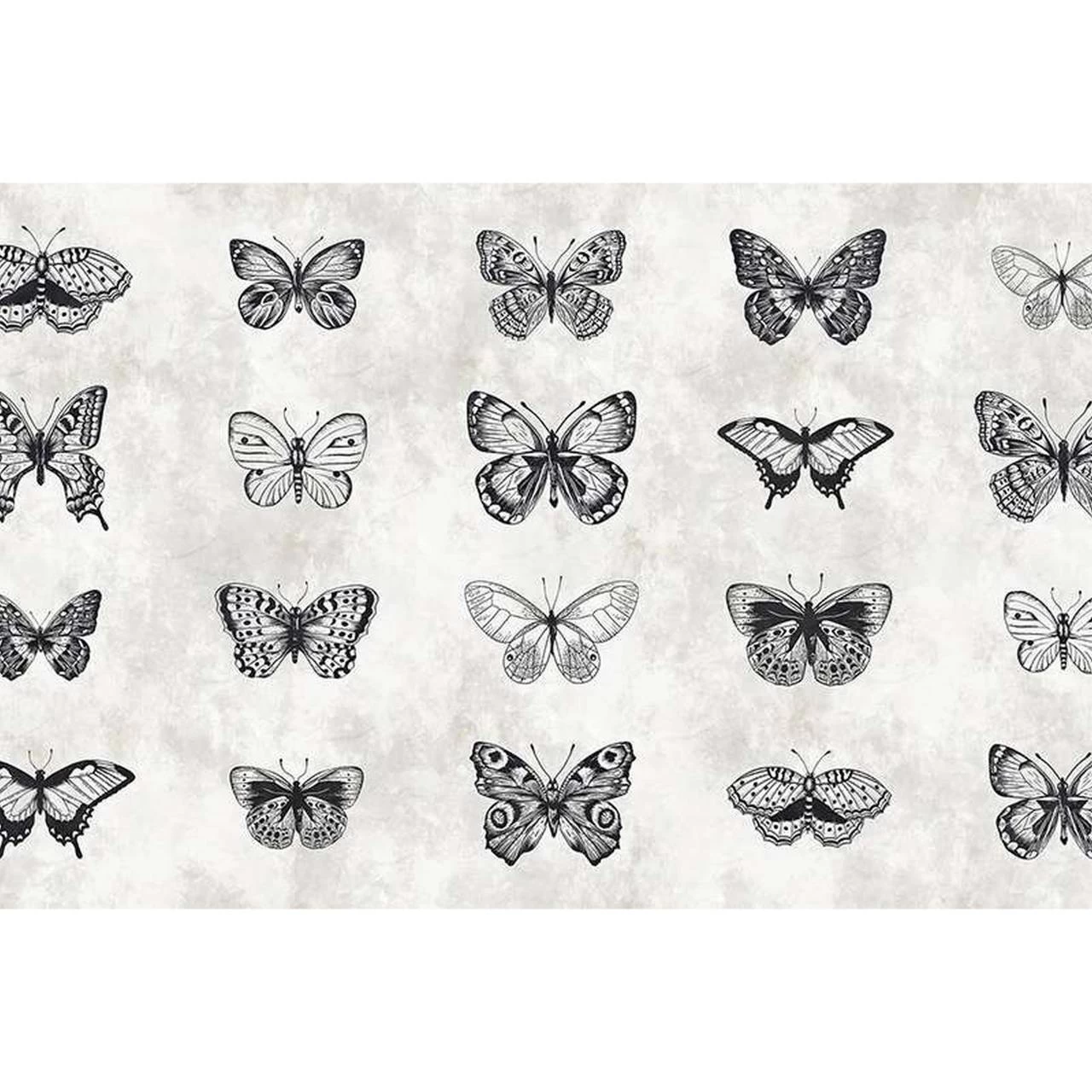 A.S. Creation | Walls By Patel 1 | DD110361 | Fototapete | Vlies | Versch. Größen | Tiere 2 A.S. Creation | Walls By Patel 1 | DD110361 | Fototapete | Vlies | Versch. Größen | Tiere – Bild 2