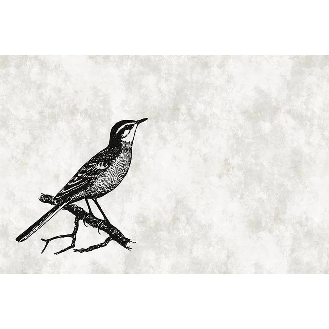 A.S. Creation | Walls By Patel 1 | DD110366 | Fototapete | Vlies | Versch. Größen | Tiere 2 A.S. Creation | Walls By Patel 1 | DD110366 | Fototapete | Vlies | Versch. Größen | Tiere – Bild 2