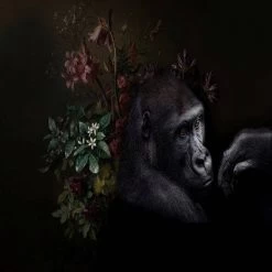 A.S. Creation | Walls By Patel 1 | DD110626 | Fototapete | Vlies | Versch. Größen | Wald & Pflanzen