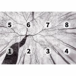 A.S. Creation | Designwalls 2.0 | DD118886 | Fototapete | Vlies | 366 X 254 Cm | Kinderzimmer 5 A.S. Creation | Designwalls 2.0 | DD118886 | Fototapete | Vlies | 366 X 254 Cm | Kinderzimmer -Boutique-Tapetenladen DD118886 Aufteilung 1280x1280