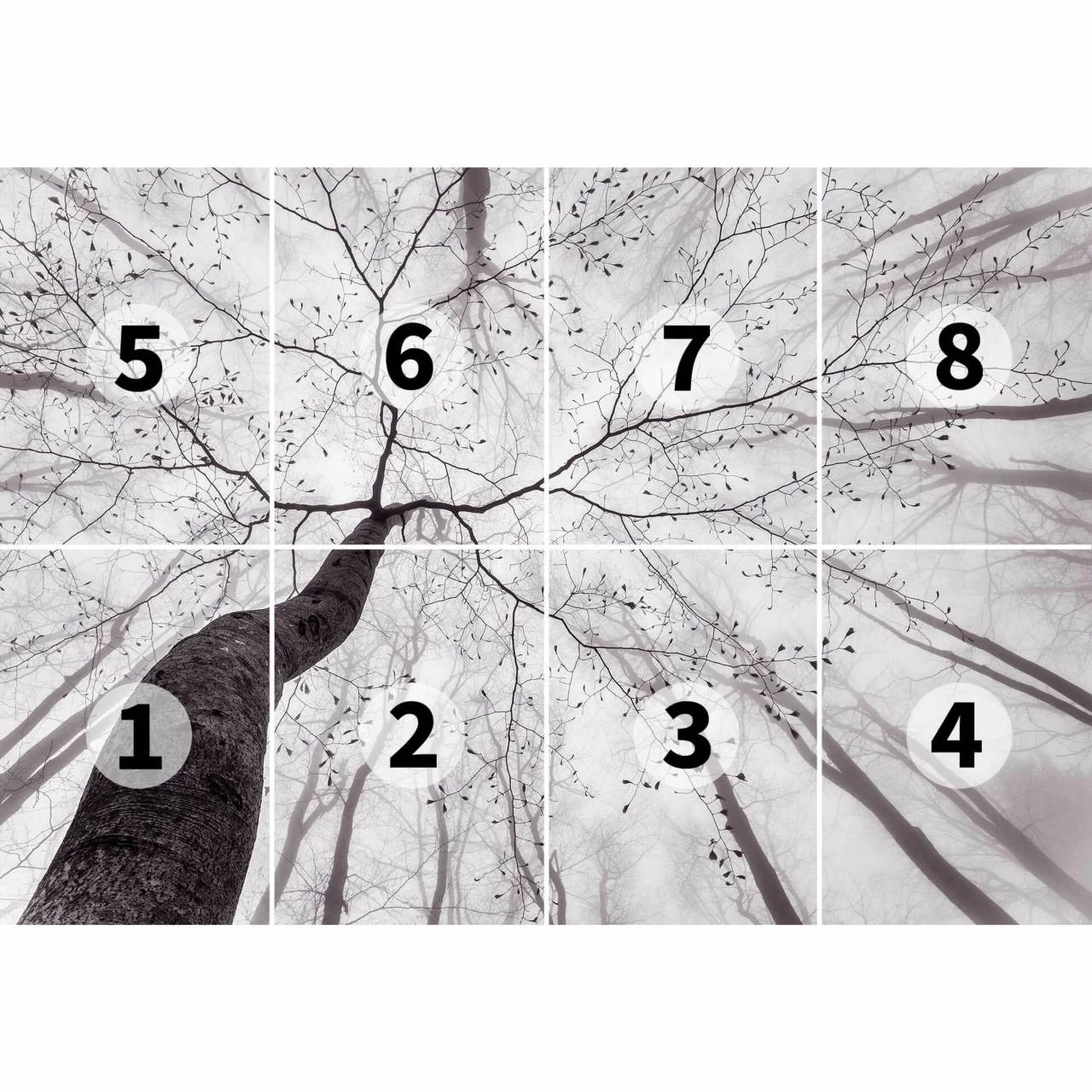 A.S. Creation | Designwalls 2.0 | DD118886 | Fototapete | Vlies | 366 X 254 Cm | Kinderzimmer 3 A.S. Creation | Designwalls 2.0 | DD118886 | Fototapete | Vlies | 366 X 254 Cm | Kinderzimmer – Bild 3