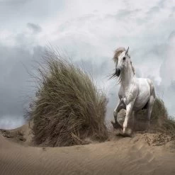 A.S. Creation | Designwalls 2.0 | DD118925 | Fototapete | Vlies | 384 X 260 Cm | Kinderzimmer | Bunt