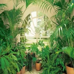 A.S. Creation | Designwalls 2.0 | DD119003 | Fototapete | Vlies | 384 X 260 Cm | Landschaft