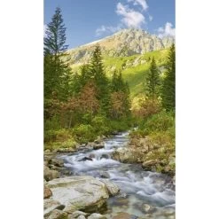 Dimex | Dimex Line | MS-2-0077 | Fototapete | Vlies | Versch. Größen | Wald & Pflanzen | Grün