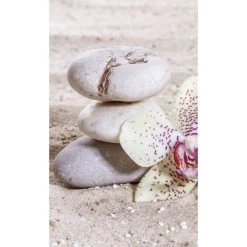 Dimex | Dimex Line | MS-2-0118 | Fototapete | Vlies | Versch. Größen | Wald & Pflanzen | Beige