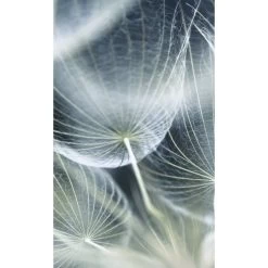 Dimex | Dimex Line | MS-2-0123 | Fototapete | Vlies | Versch. Größen | Wald & Pflanzen | Grau