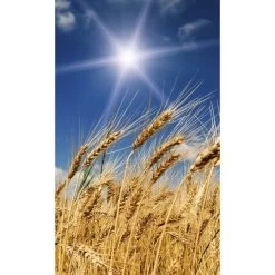 Dimex | Dimex Line | MS-2-0136 | Fototapete | Vlies | Versch. Größen | Wald & Pflanzen | Blau