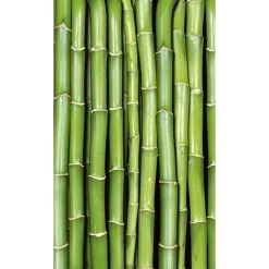 Dimex | Dimex Line | MS-2-0165 | Fototapete | Vlies | Versch. Größen | Wald & Pflanzen | Grün