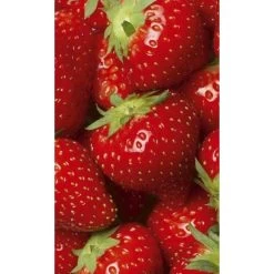 Dimex | Dimex Line | MS-2-0241 | Fototapete | Vlies | Versch. Größen | Küche | Rot